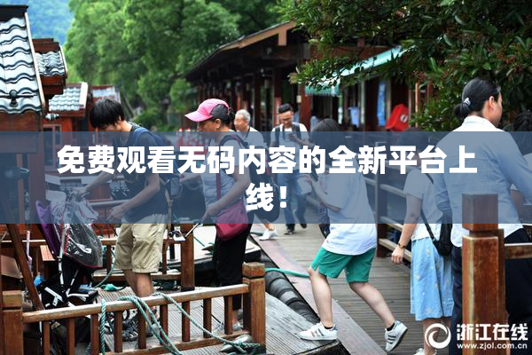 免费观看无码内容的全新平台上线！