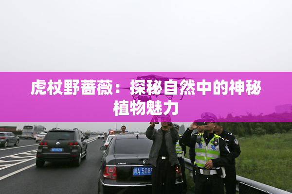 虎杖野蔷薇：探秘自然中的神秘植物魅力