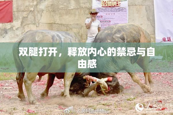 双腿打开，释放内心的禁忌与自由感