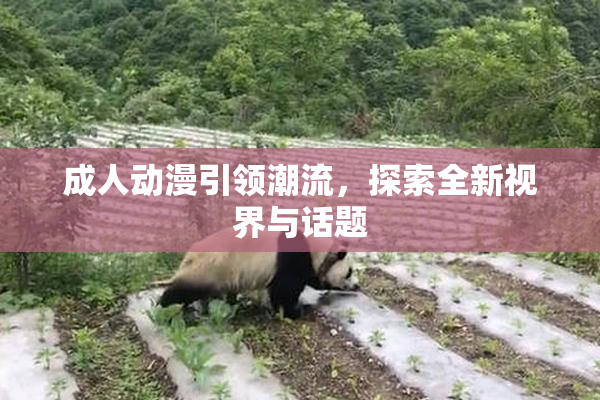 成人动漫引领潮流，探索全新视界与话题