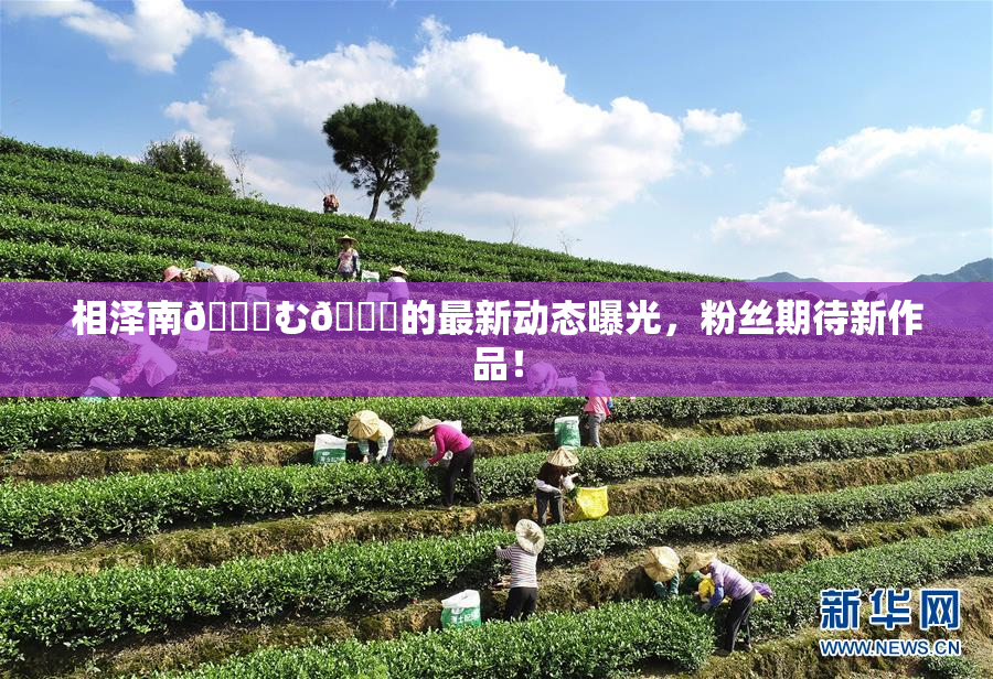 相泽南😚む🍍的最新动态曝光，粉丝期待新作品！