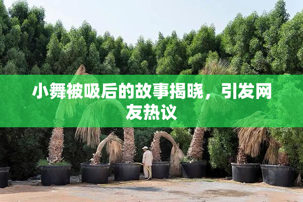 小舞被吸后的故事揭晓，引发网友热议