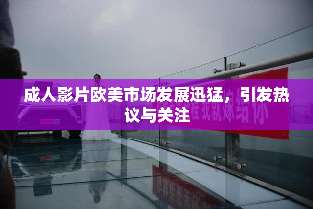 成人影片欧美市场发展迅猛，引发热议与关注