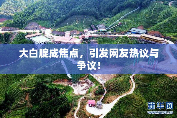 大白腚成焦点，引发网友热议与争议！