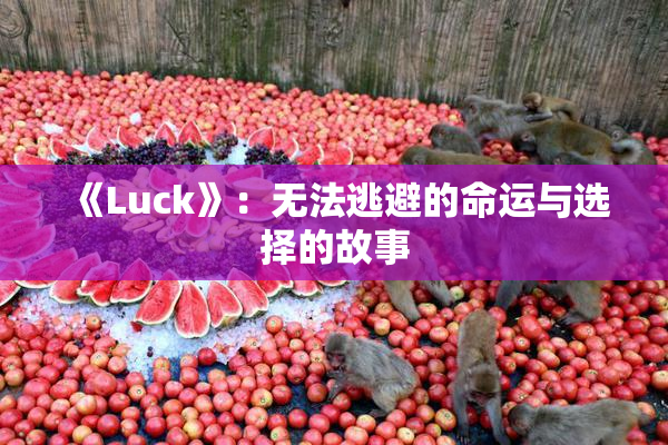 《Luck》：无法逃避的命运与选择的故事