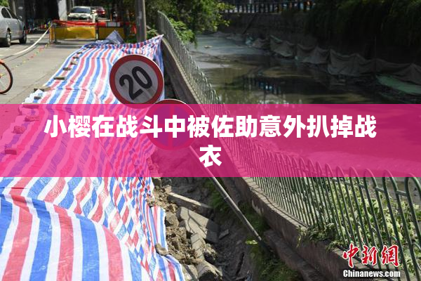 小樱在战斗中被佐助意外扒掉战衣