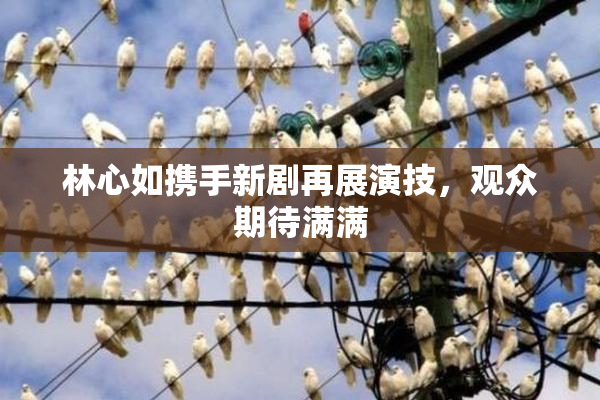 林心如携手新剧再展演技，观众期待满满