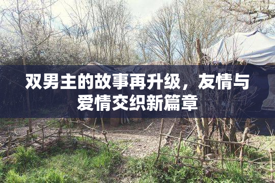 双男主的故事再升级，友情与爱情交织新篇章