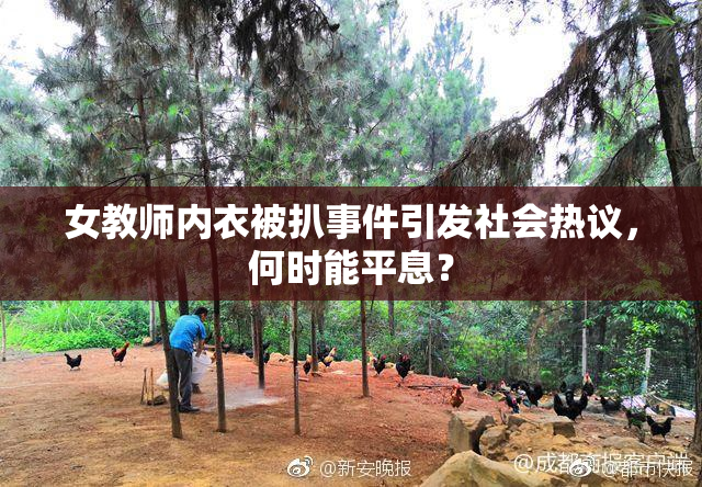 女教师内衣被扒事件引发社会热议，何时能平息？