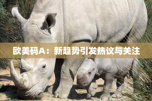 欧美码A：新趋势引发热议与关注