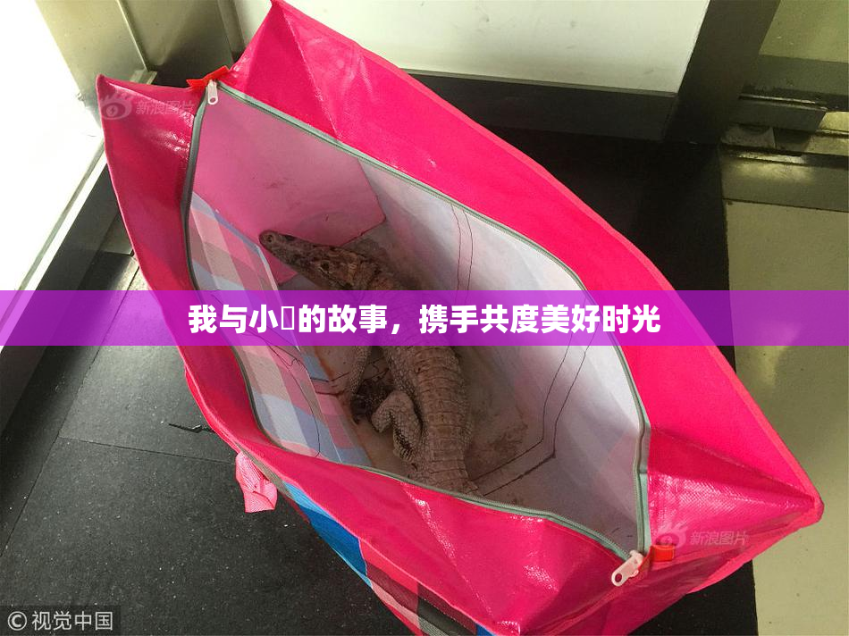 我与小娻的故事，携手共度美好时光