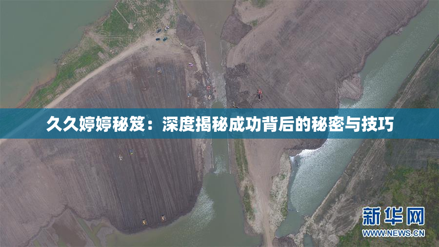 久久婷婷秘笈：深度揭秘成功背后的秘密与技巧