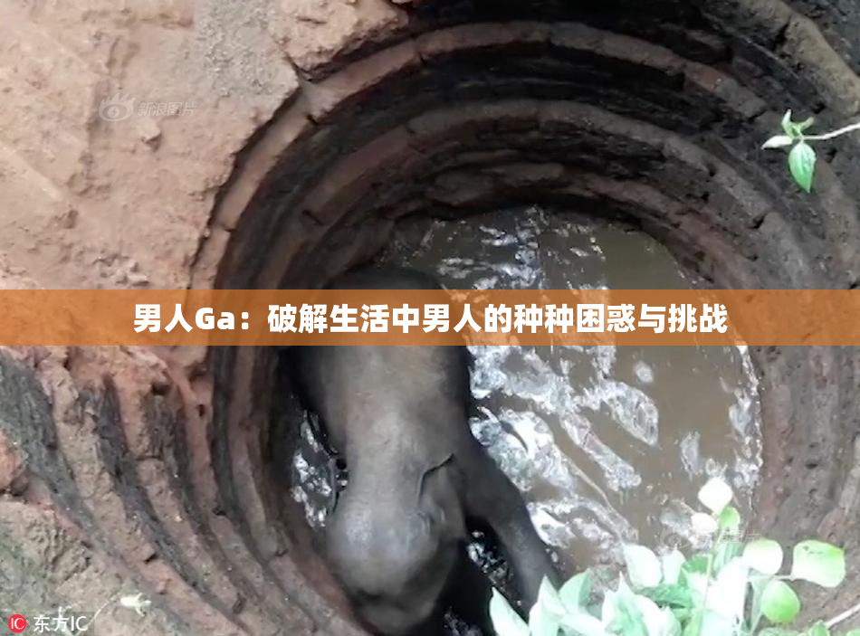 男人Ga：破解生活中男人的种种困惑与挑战