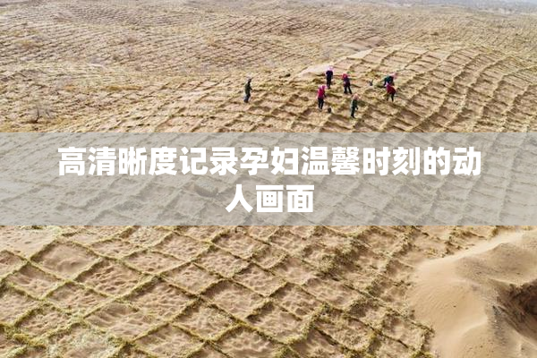 高清晰度记录孕妇温馨时刻的动人画面