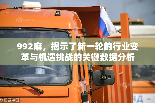 992麻，揭示了新一轮的行业变革与机遇挑战的关键数据分析