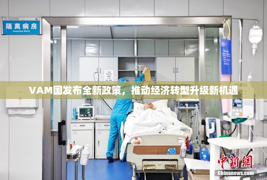 VAM国发布全新政策，推动经济转型升级新机遇