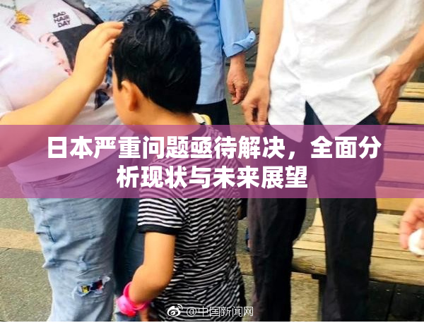 日本严重问题亟待解决，全面分析现状与未来展望