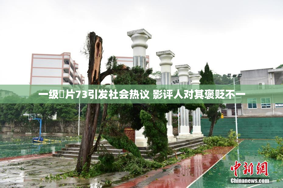 一级婬片73引发社会热议 影评人对其褒贬不一