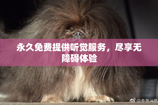 永久免费提供听觉服务，尽享无障碍体验
