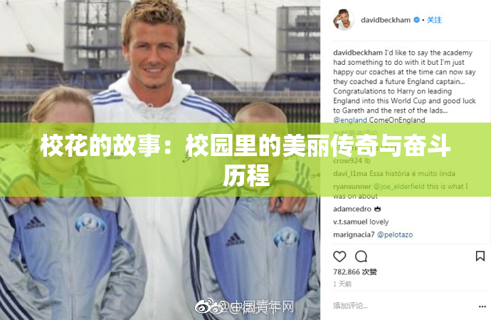 校花的故事：校园里的美丽传奇与奋斗历程