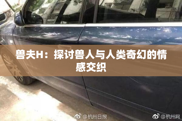 兽夫H：探讨兽人与人类奇幻的情感交织