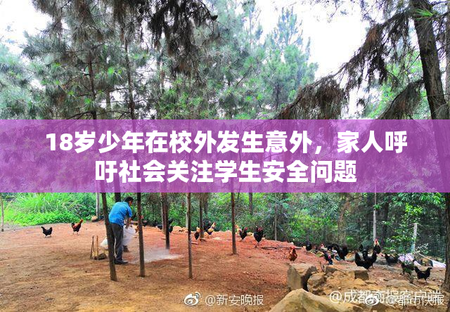 18岁少年在校外发生意外，家人呼吁社会关注学生安全问题