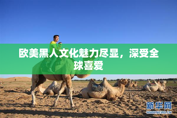 欧美黑人文化魅力尽显，深受全球喜爱