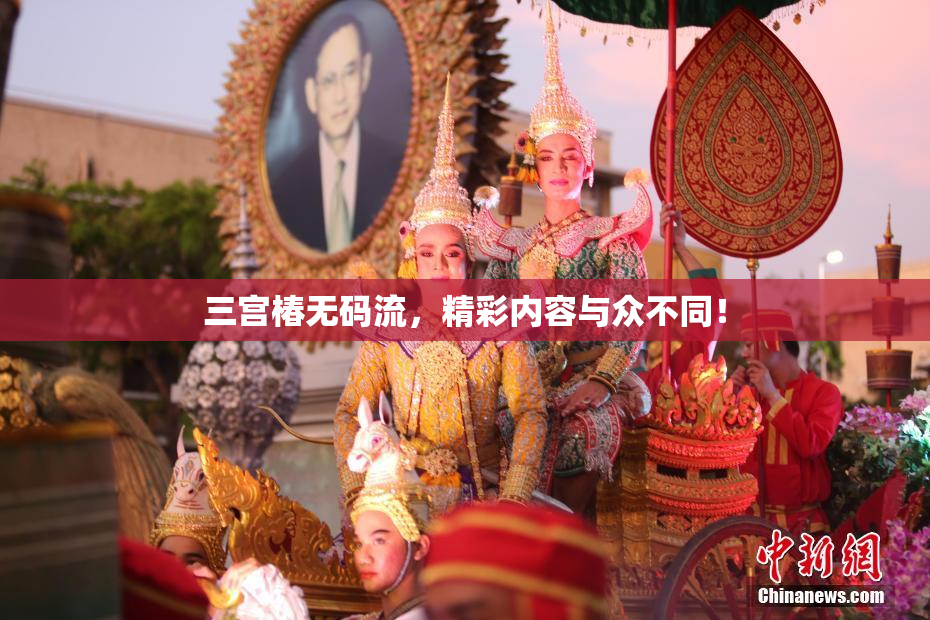 三宫椿无码流，精彩内容与众不同！
