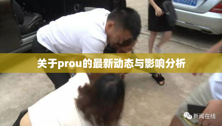 关于prou的最新动态与影响分析