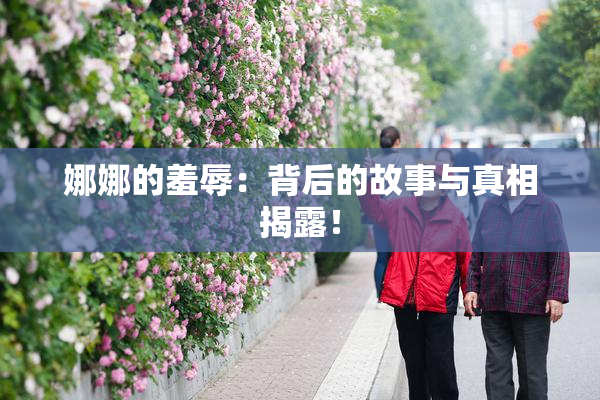 娜娜的羞辱：背后的故事与真相揭露！