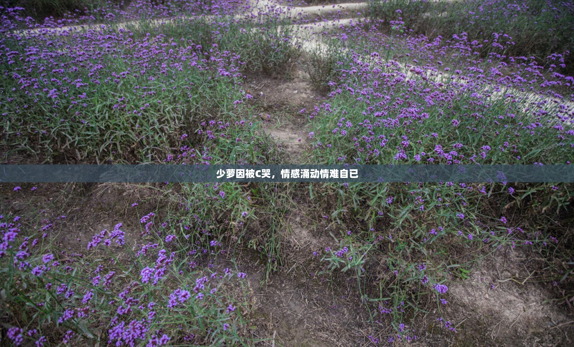 少萝因被C哭，情感涌动情难自已