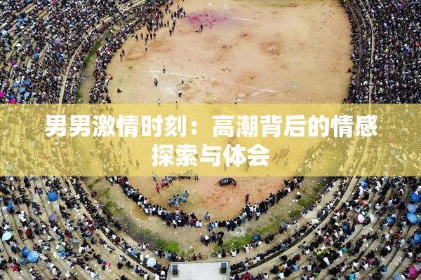男男激情时刻：高潮背后的情感探索与体会