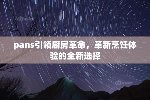 pans引领厨房革命，革新烹饪体验的全新选择