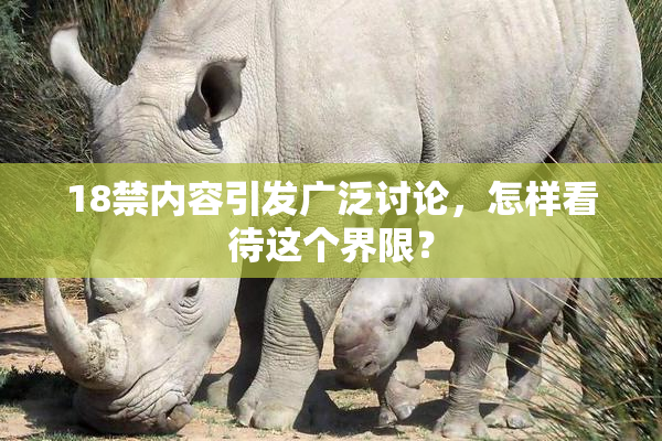 18禁内容引发广泛讨论，怎样看待这个界限？