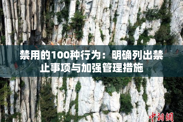 禁用的100种行为：明确列出禁止事项与加强管理措施