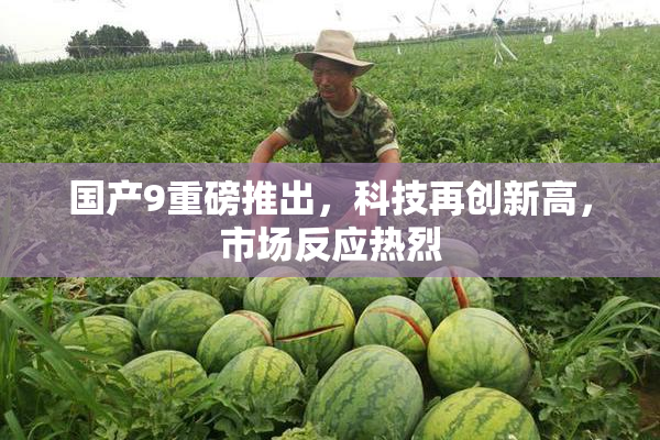 国产9重磅推出，科技再创新高，市场反应热烈