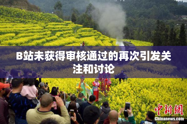 B站未获得审核通过的再次引发关注和讨论