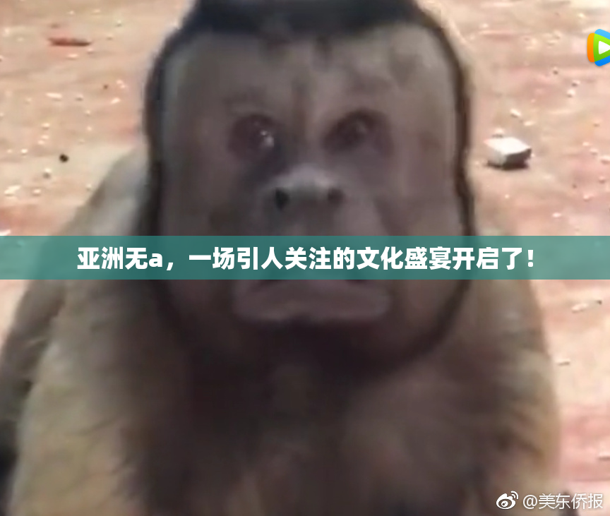 亚洲无a，一场引人关注的文化盛宴开启了！
