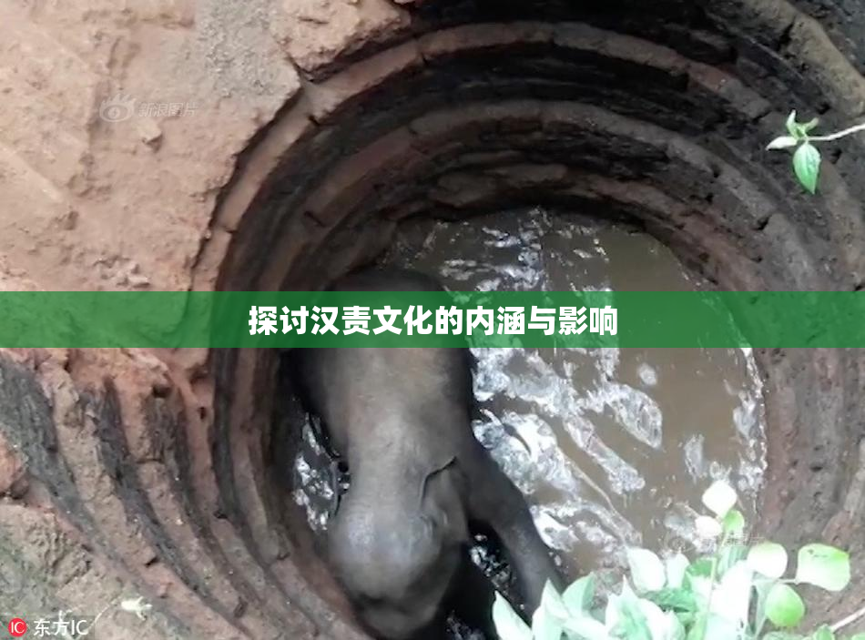 探讨汉责文化的内涵与影响