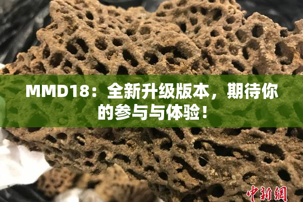 MMD18：全新升级版本，期待你的参与与体验！
