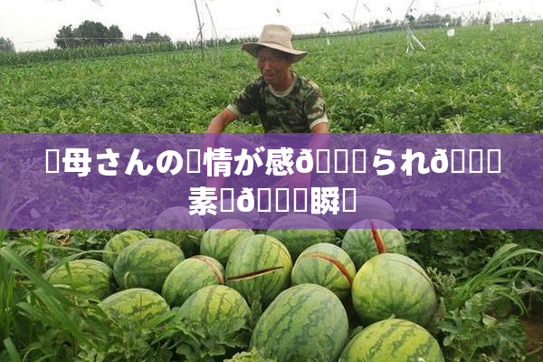 ✿母さんの愛情が感🍓られ🌃素敵🍑瞬間