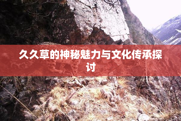 久久草的神秘魅力与文化传承探讨