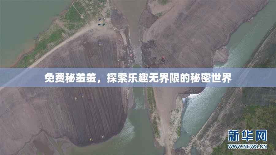 免费秘羞羞，探索乐趣无界限的秘密世界