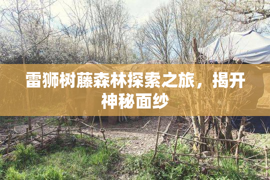 雷狮树藤森林探索之旅，揭开神秘面纱