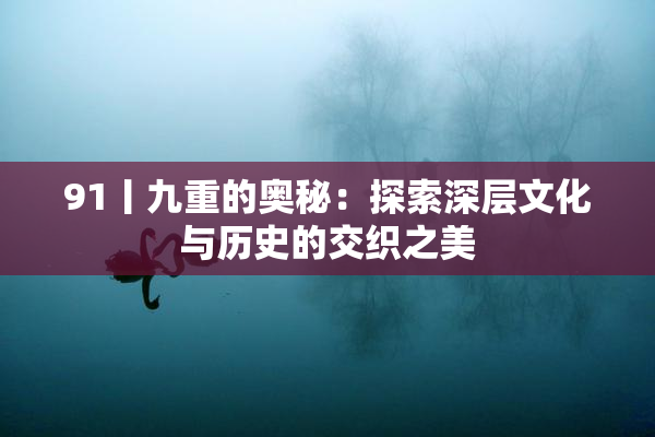 91丨九重的奥秘：探索深层文化与历史的交织之美