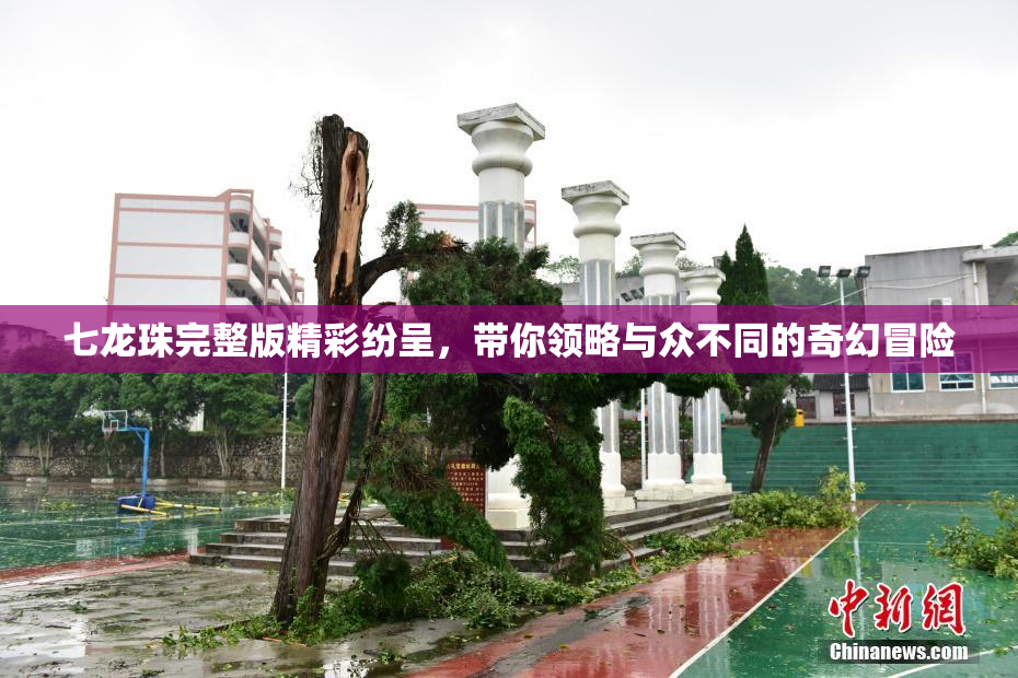 七龙珠完整版精彩纷呈，带你领略与众不同的奇幻冒险