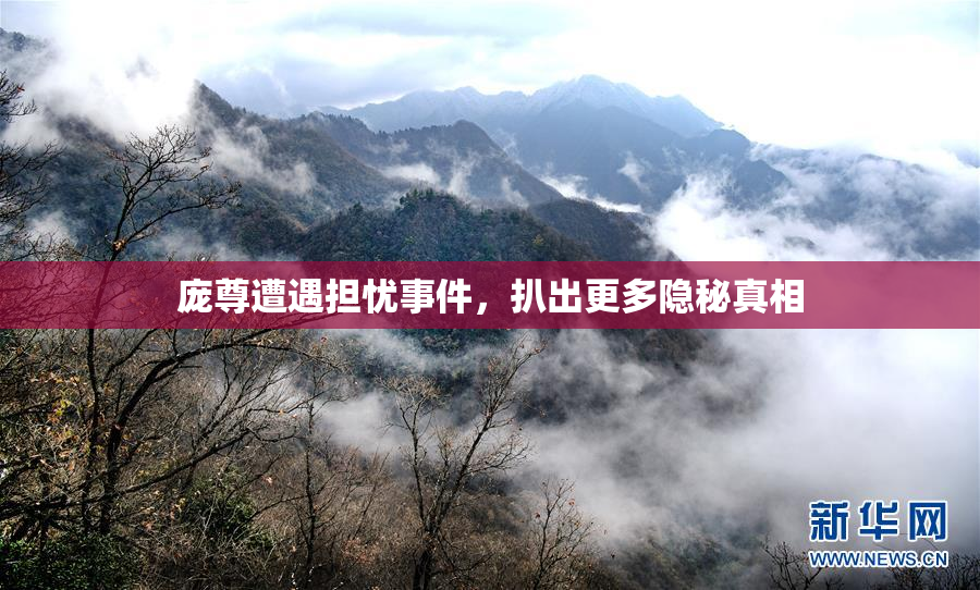 庞尊遭遇担忧事件，扒出更多隐秘真相