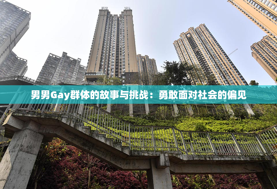 男男Gay群体的故事与挑战：勇敢面对社会的偏见