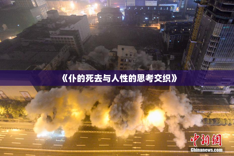 《仆的死去与人性的思考交织》