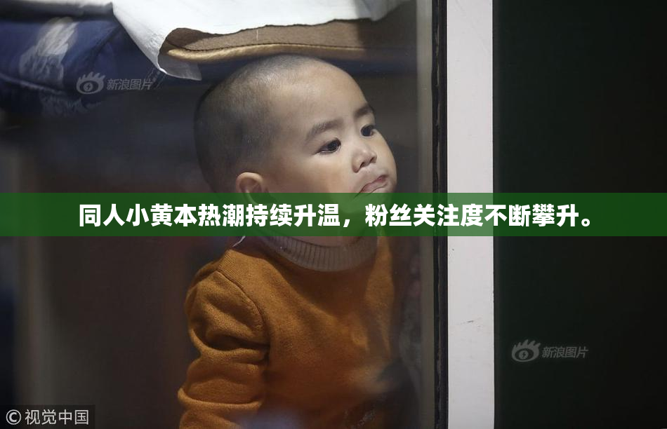 同人小黄本热潮持续升温，粉丝关注度不断攀升。